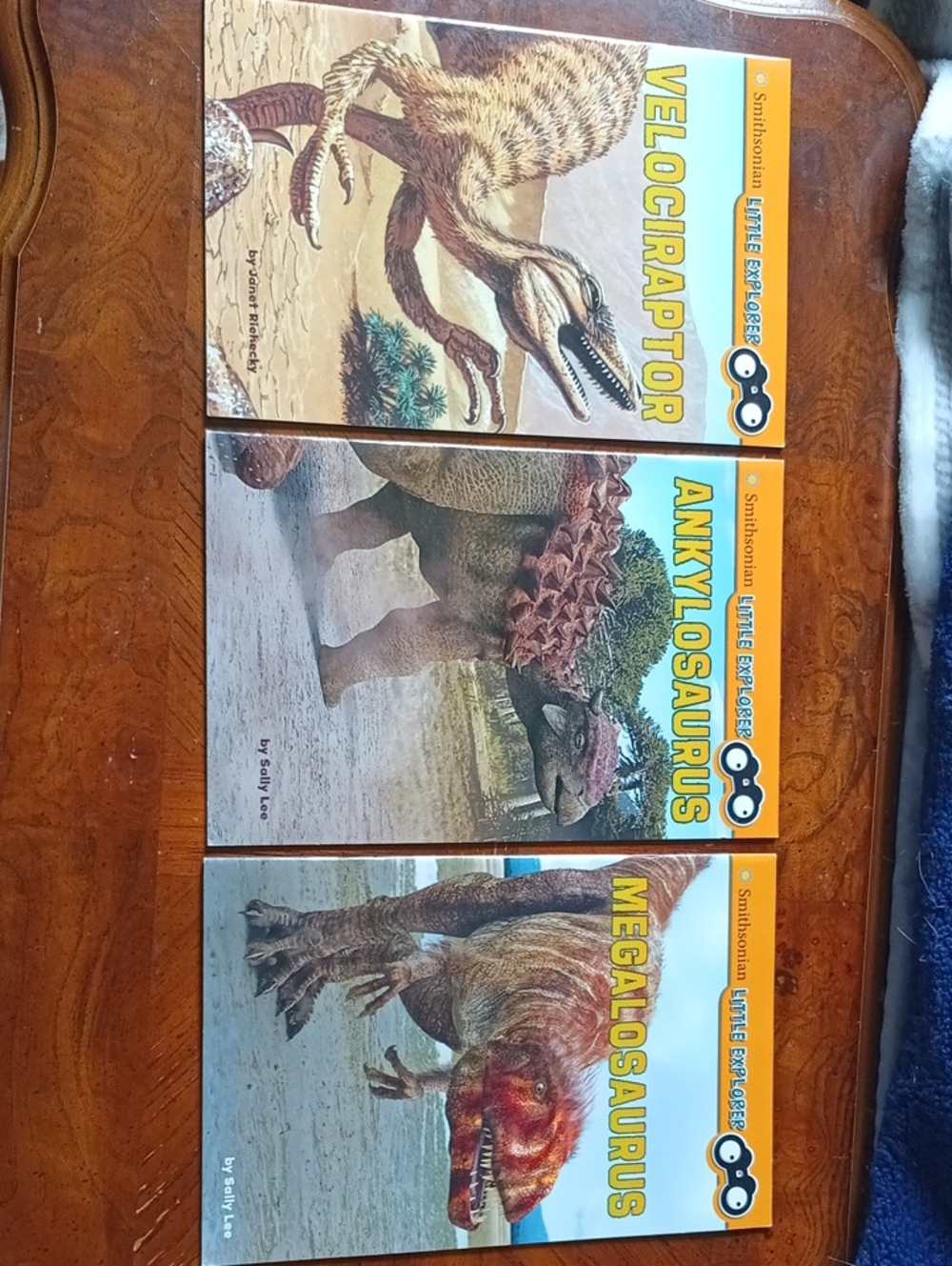 Little Explorer Lot Of 10 Dinosaur Books